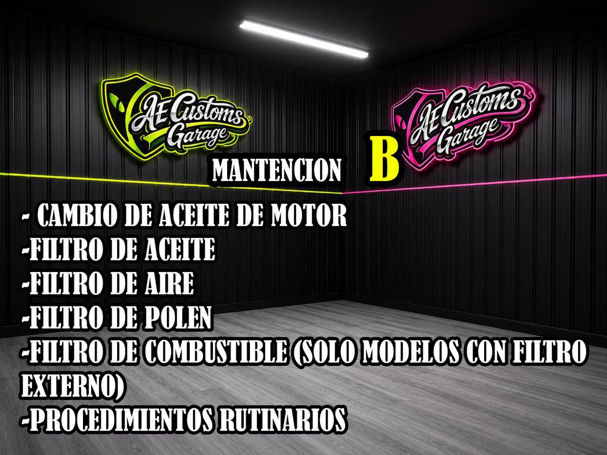 MANTENCION POR KILOMETRAJE VEHICULOS COMUNES TIPO A
